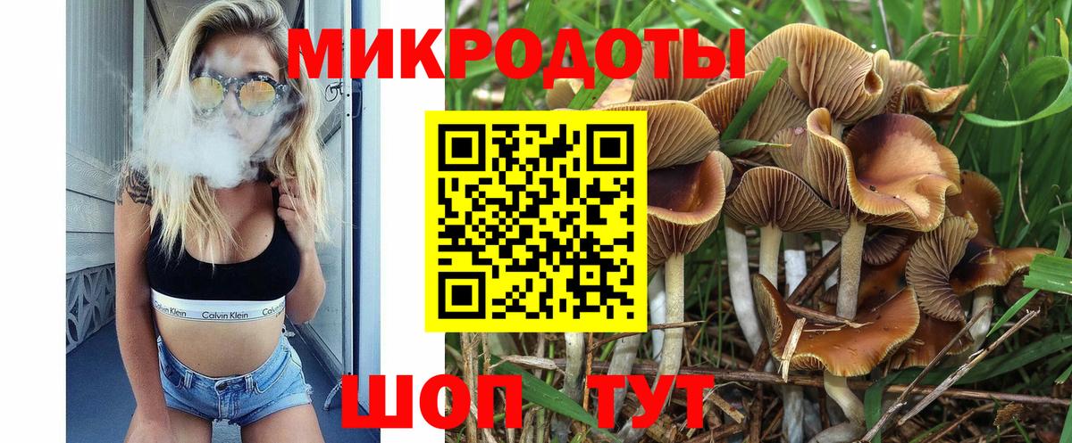 Псилоцибиновые грибы мицелий Стрежевой