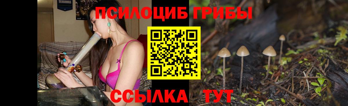 где можно купить   Вход с VPN  Стрежевой  Галлюциногенные грибы MAGIC MUSHROOMS  Псилоцибиновые грибы ЛСД 